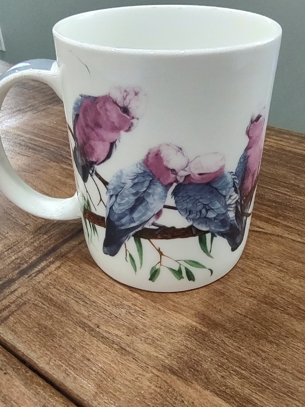 Bird Of Australia Collection Mug By Natalie Jane Parker